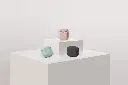 imgi_17_Lino_3.webp