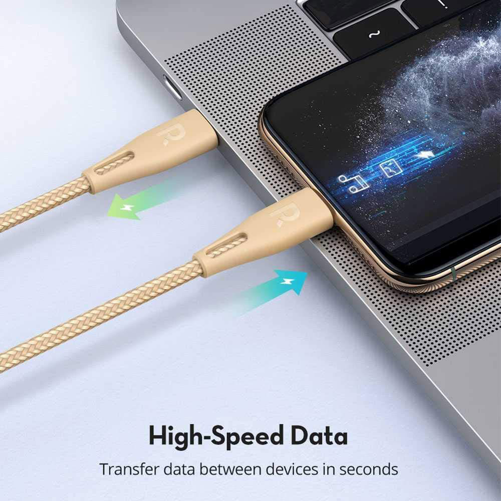 Ravpower Nylon Braided Type-C to Lightning Cable 0.3M - Gold