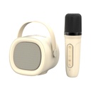 Havit Audio series-Bluetooth speaker SK819BT BEIGE